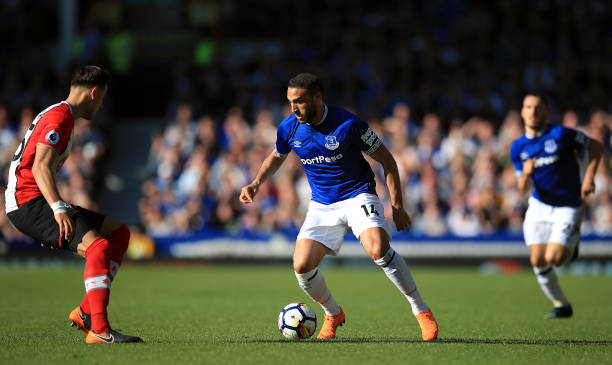 仅仅是看比 仅仅是看比