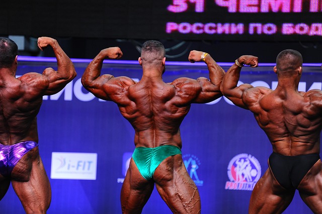 这无疑证明 这无疑证明